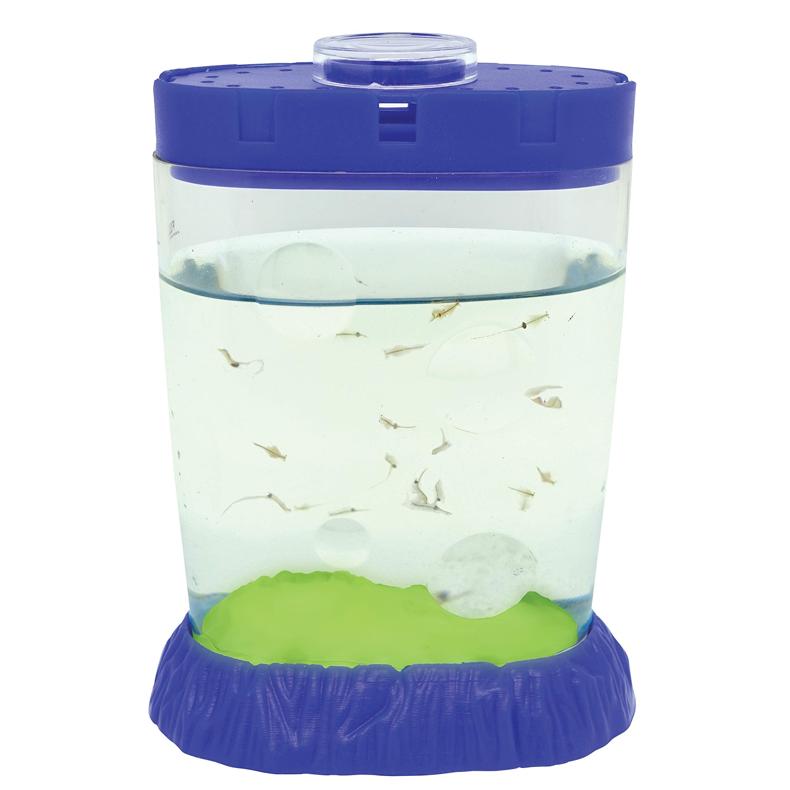 Sea Monkeys Glow in the Dark Magiquarium - Educational Science Kit for Kids 6+