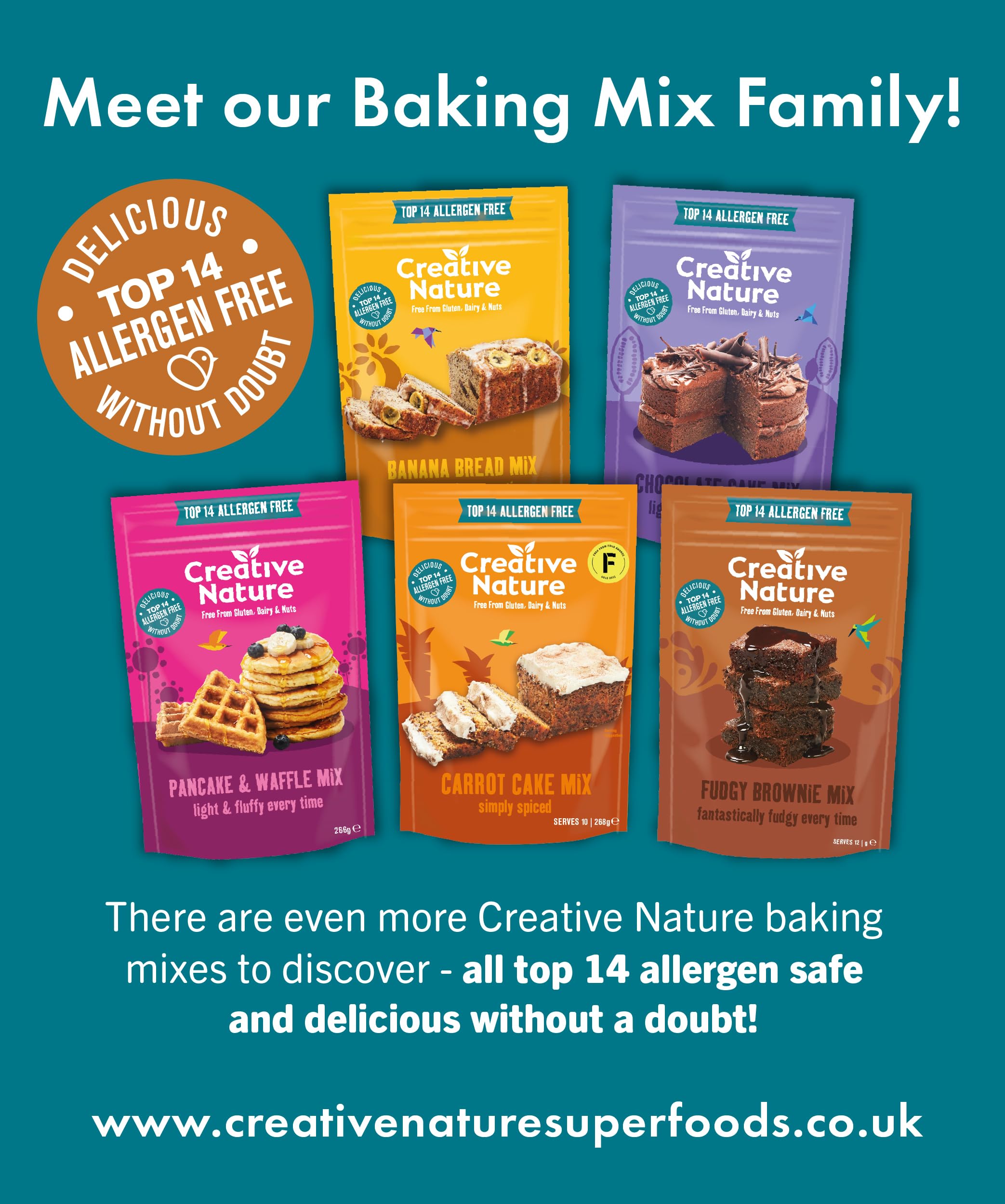 Creative Nature Chia & Cacao Brownie Mix - Gluten-Free, Allergen-Free Baking Mix 250g