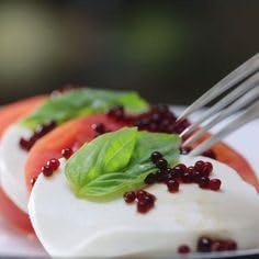 Messino Balsamic Pearls – 50ml Jar – Molecular Gastronomy Vinegar Spheres 10