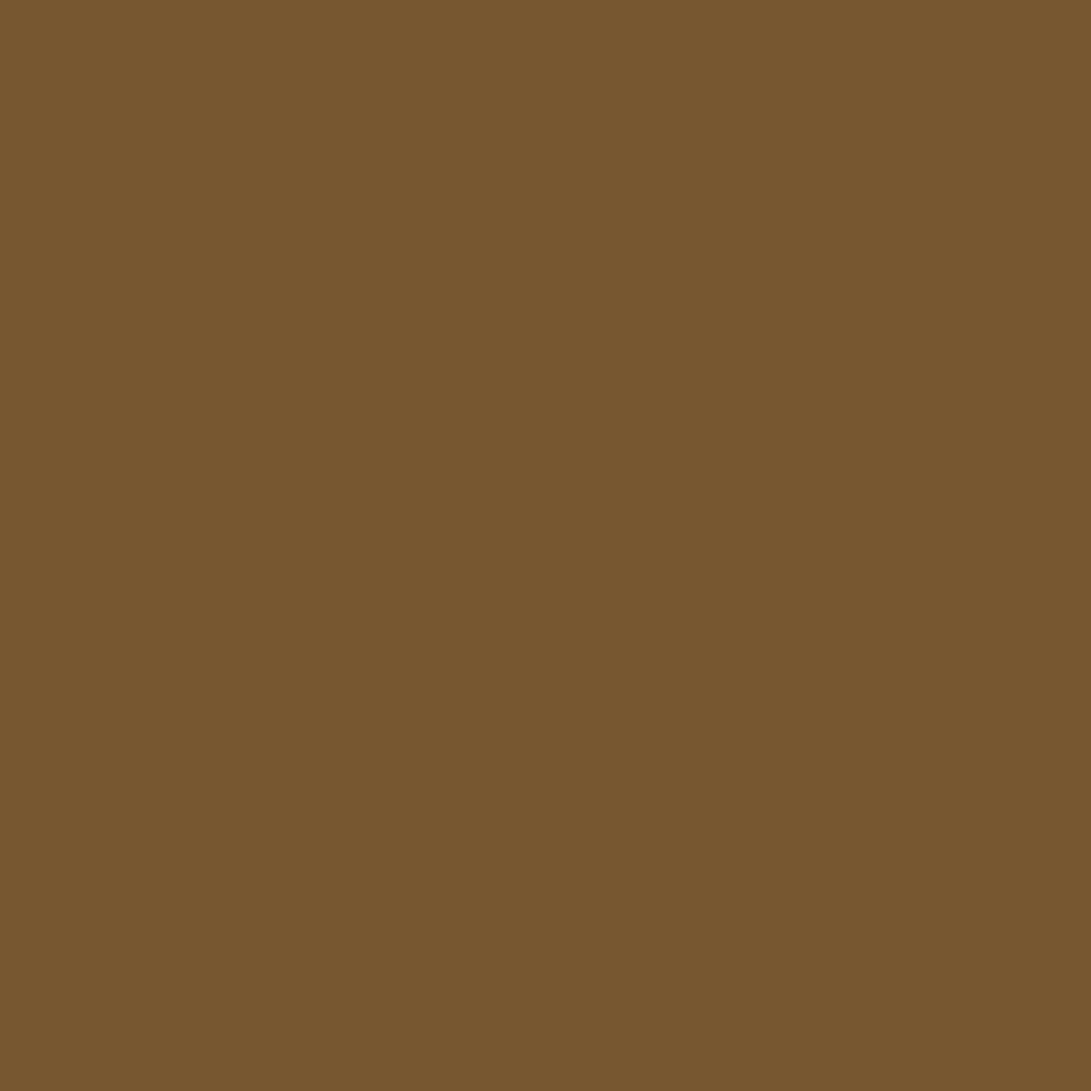 Vallejo Game Color 17 ml Acrylic Paint - Earth