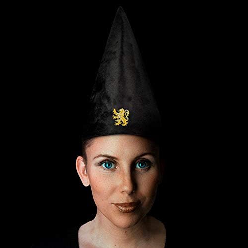 Harry Potter Hogwarts Student Hat - Black (One Size)