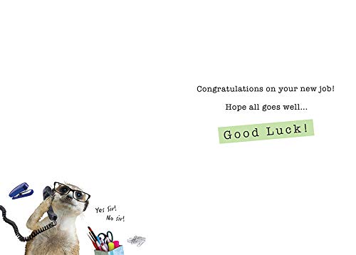 Piccadilly Greetings New Job Greeting Card - 7 x 5 Inches | Unisex-Kids Audience