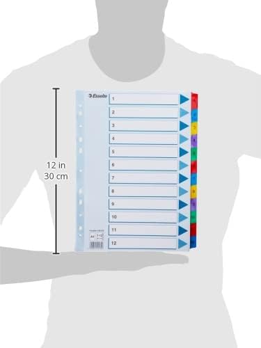 Esselte 100162 A4 1-12 Index Dividers, Heavy Duty Cardboard with Mylar Reinforced Tabs, Multicoloured