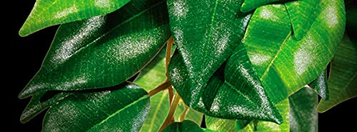 Exo Terra Plastic Amapallo Plant - Small Size, Realistic Reptile Decor | PT3001 3