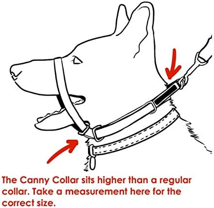 Canny - Canny Collar Head Collar for Dog Training and Walking - Black (Size 4, Model 02-1005) 3