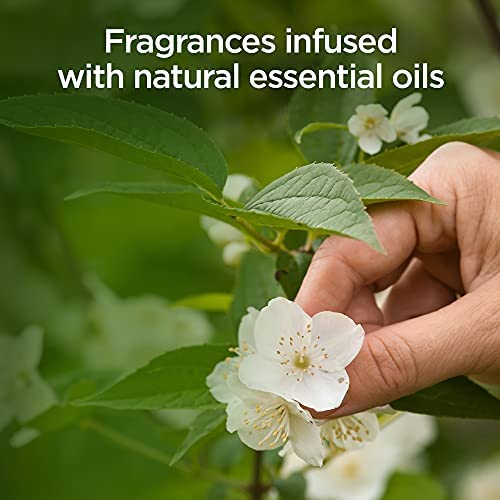 Air Wick - Eucalyptus Odour Neutralising Air Spray | Pack of 4