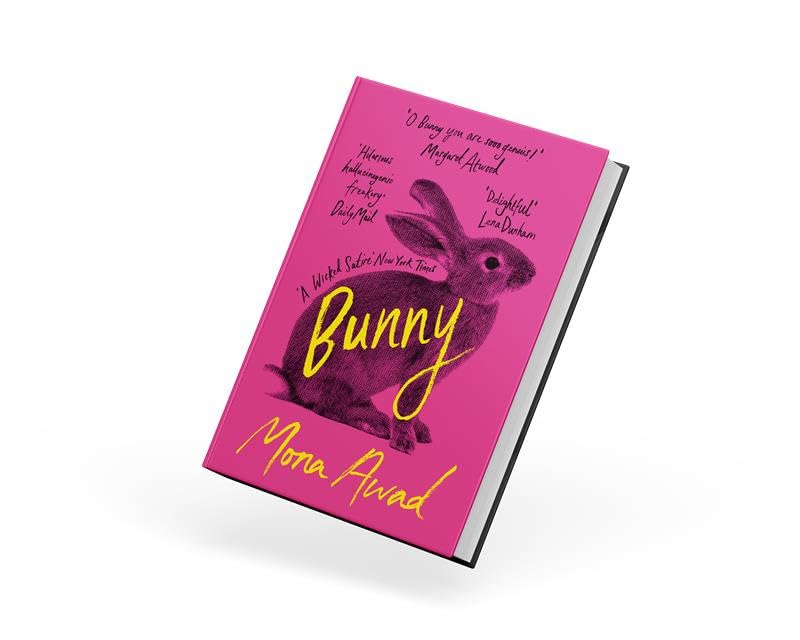 Bunny by Mona Awad - A Darkly Funny Satire of Female Friendship | Paperback 2