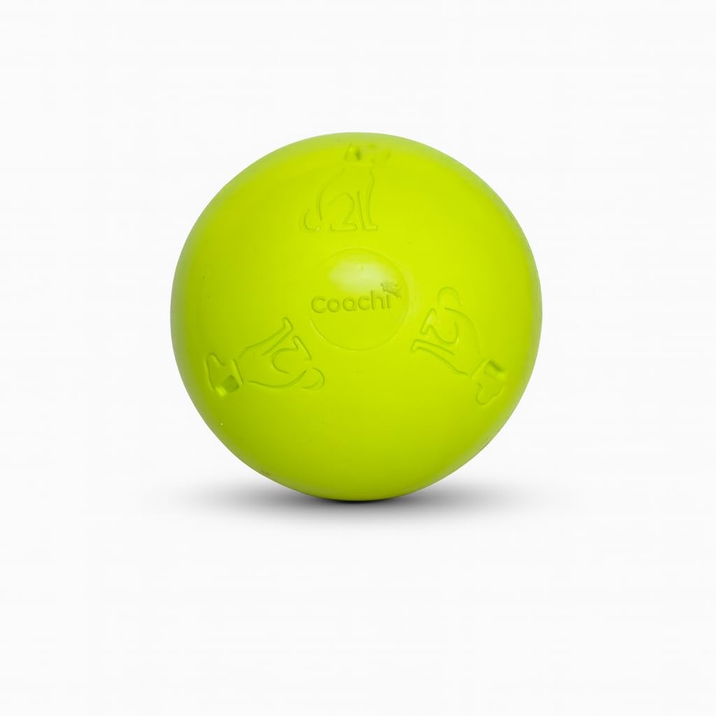 Coachi Boomi Ball for Dogs - 10-inch, Electric Lime