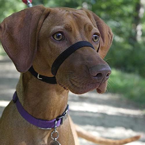 Canny - Canny Collar Head Collar for Dog Training and Walking - Black (Size 4, Model 02-1005) 16