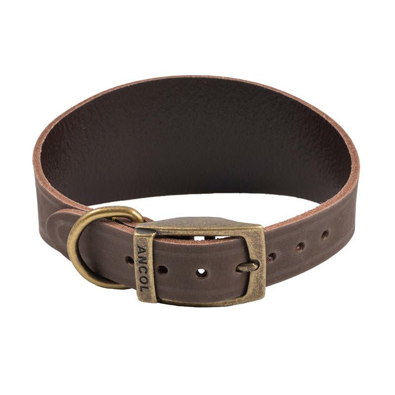 Ancol Timberwolf Leather Dog Collar - Sable | 30-34 cm Neck | Hand-Crafted Bridle Leather 1