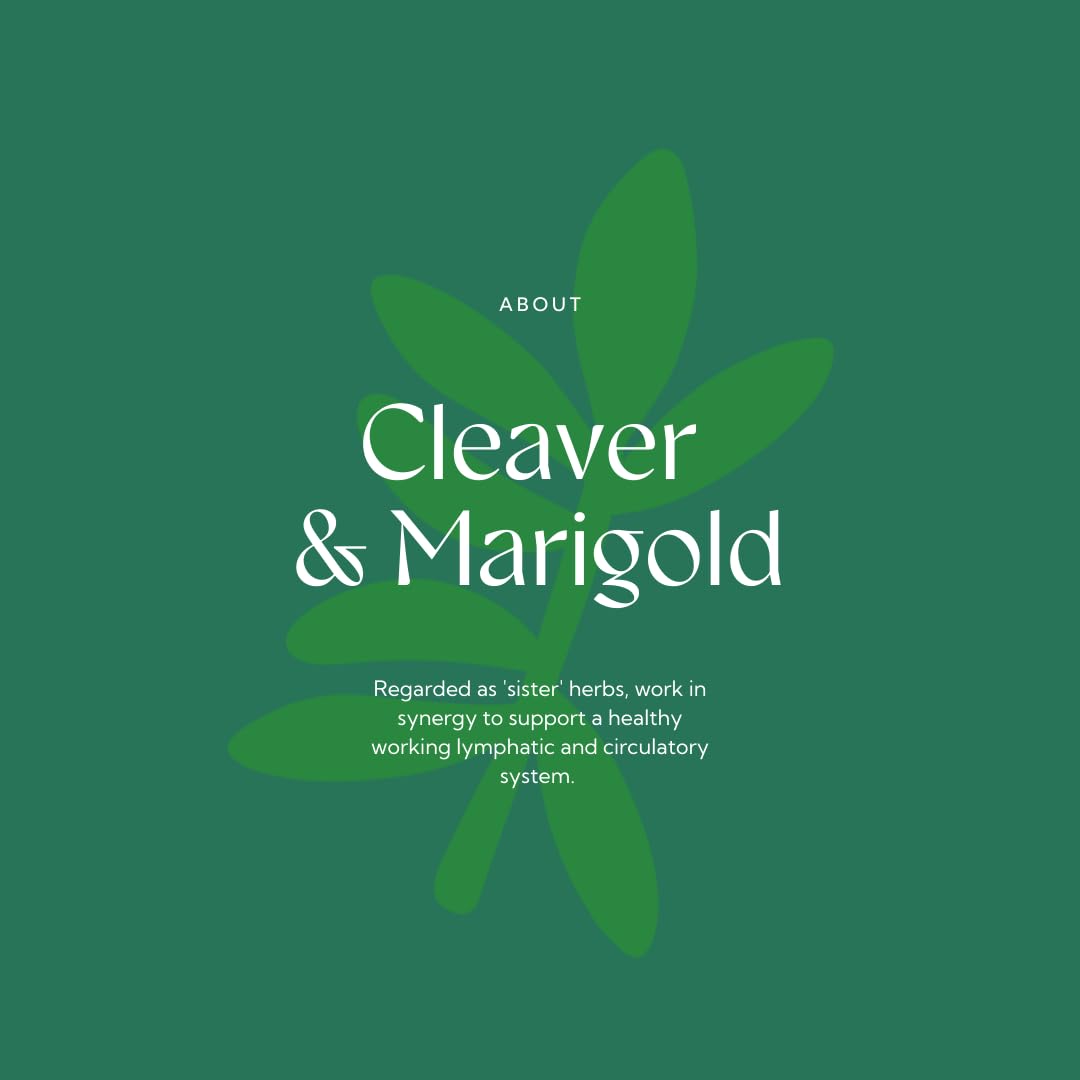 Hilton Herbs Cleavers & Marigold Natural Equine Supplement for Lymphatic Support | 750g 3
