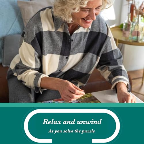 Falcon Vintage Treasures - 500 XL Piece Jigsaw Puzzle for Adults 8