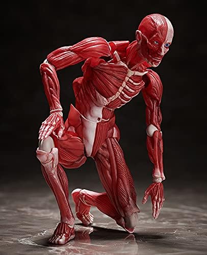 Good Smile Company Human Anatomical Model Figma Action Figure - Fully Articulated Educational Figure