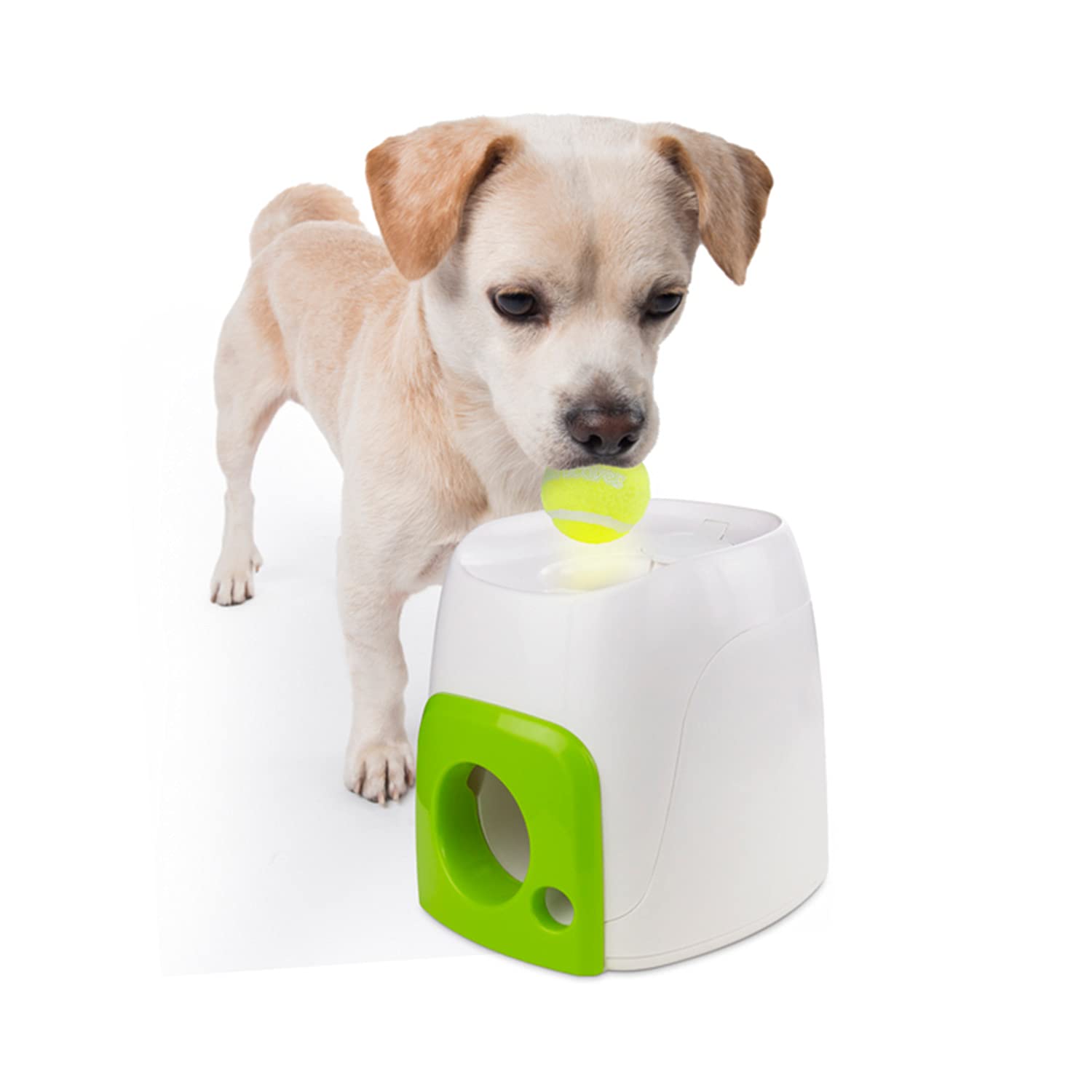 ALL FOR PAWS Fetch'N Treat Interactive Dog Toy | Gravity Treat Dispenser | Includes Tennis Ball