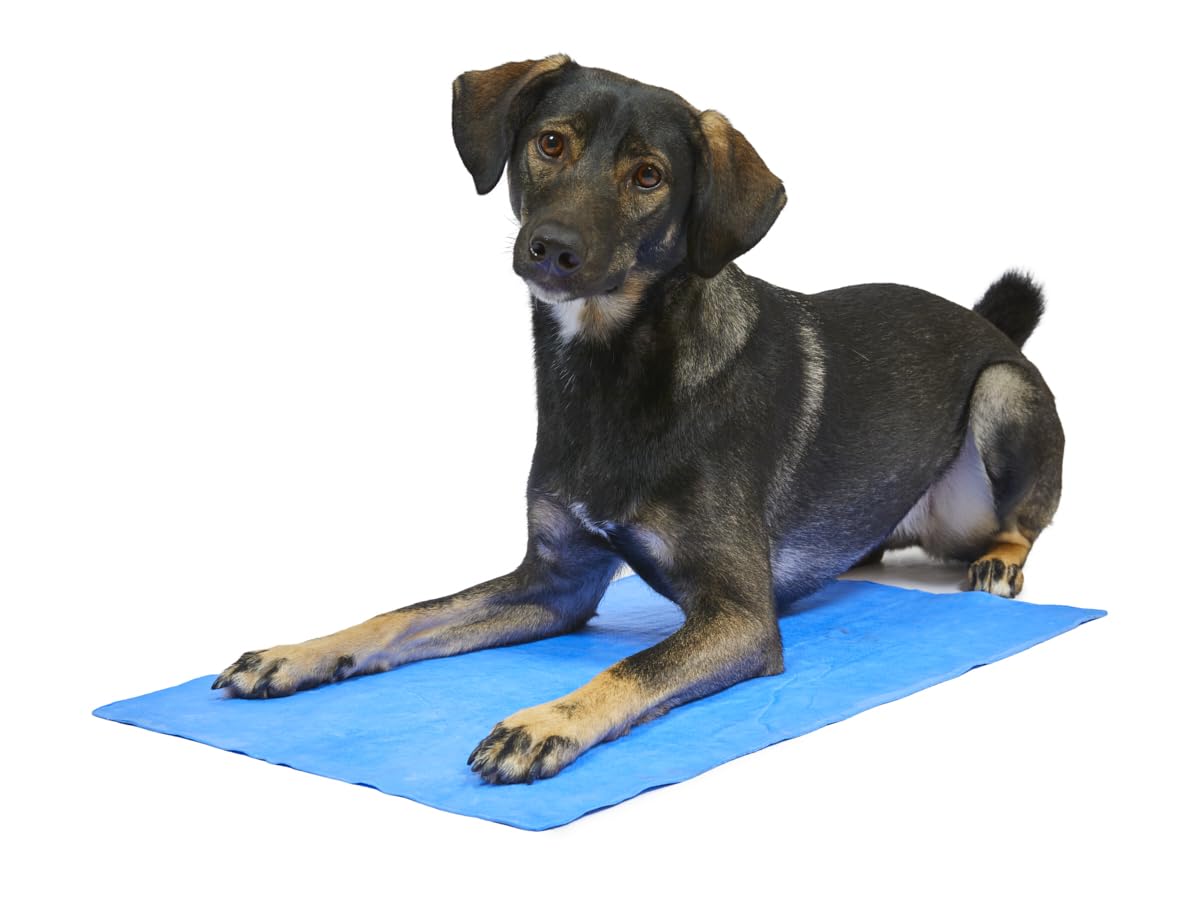 Petface Cooling Summer Pet Towel - Water-Activated Relief | 66 x 43 cm | Blue 5