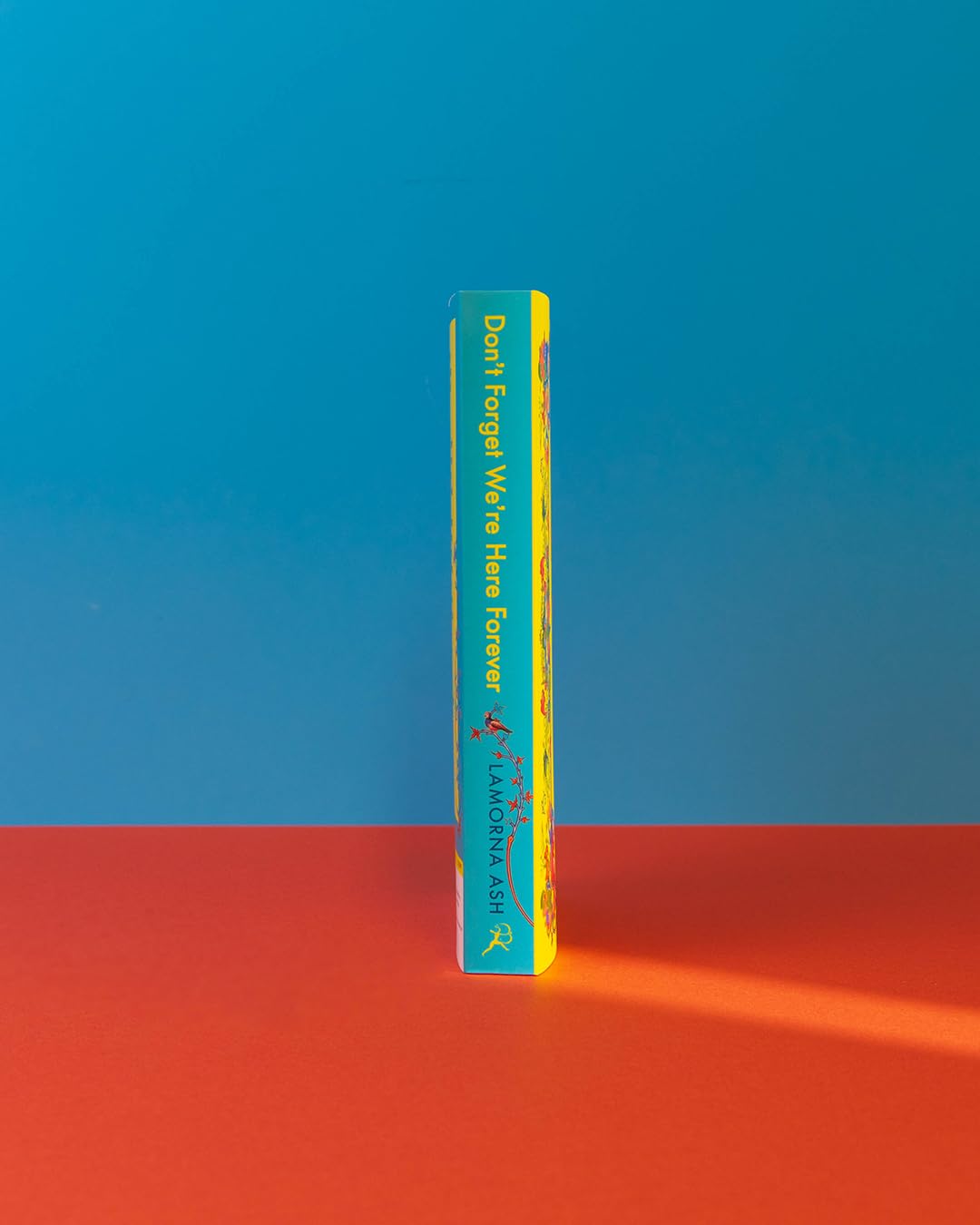 Bloomsbury Don't Forget We're Here Forever: A New Generation's Search for Religion | Paperback 4