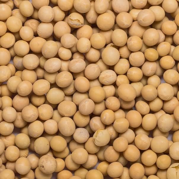 Wholefood Earth Organic Soya Beans 2kg - GMO Free, High Fibre, Vegan