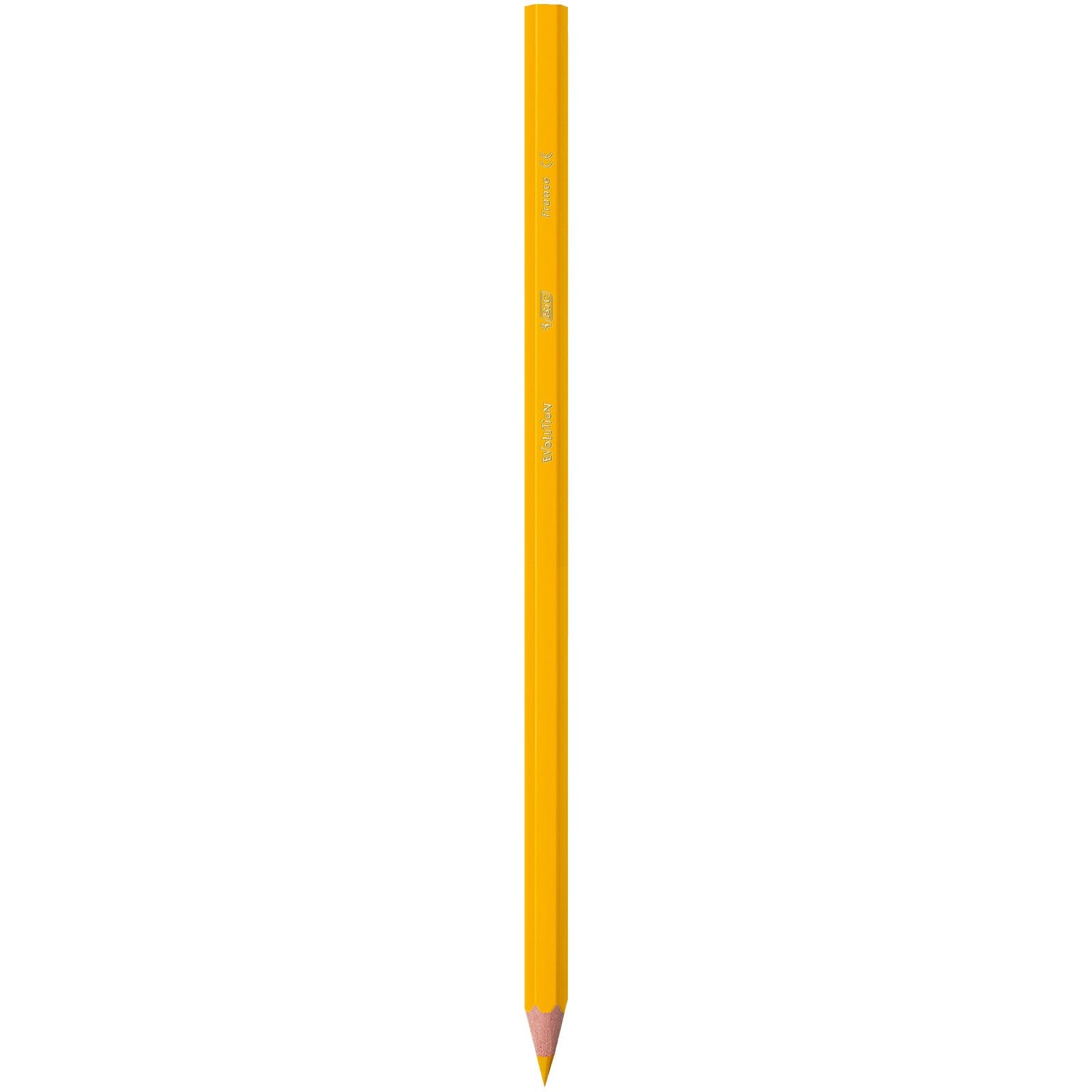 BIC Kids Evolution Coloured Pencils - Wood-Free, Durable Art Supplies for Kids 5+ 3