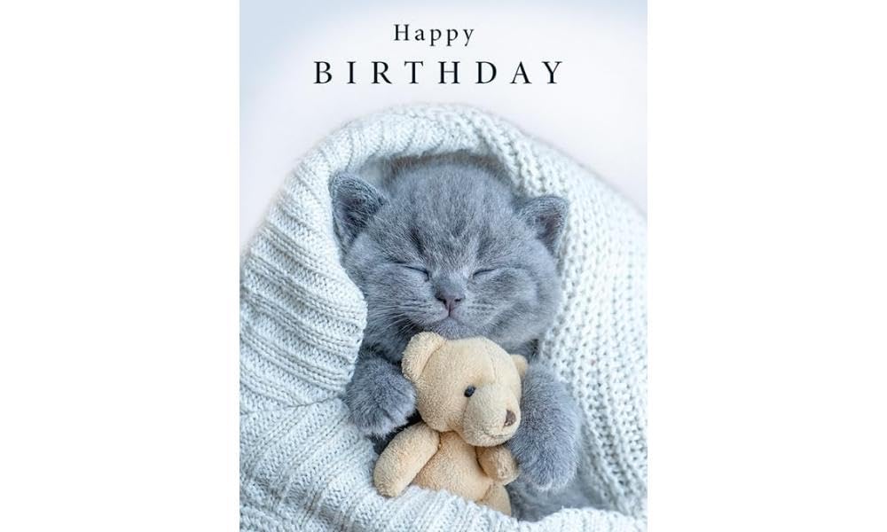 Piccadilly Greetings Birthday Card - Cute Cat and Teddy Design | 8 x 6 Inches