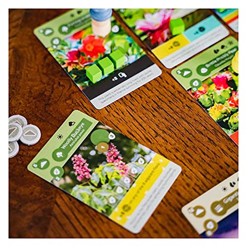 Inside Up Games Earth Board Game | Ages 14+ | 1-5 Players | 45-90 Minutes 15