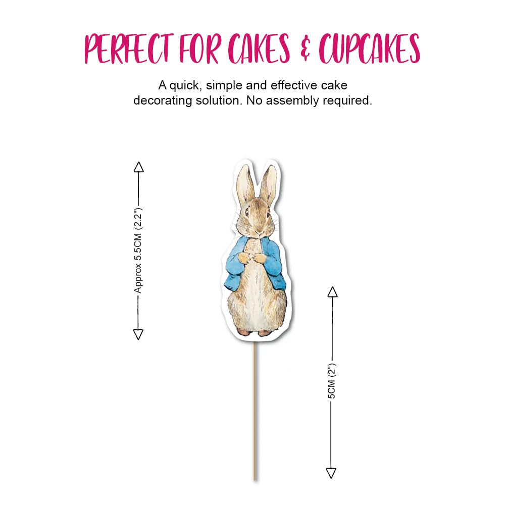 Anniversary House Peter Rabbit Character Party Picks - 12 Double-Sided Paper Toppers | 5.5cm