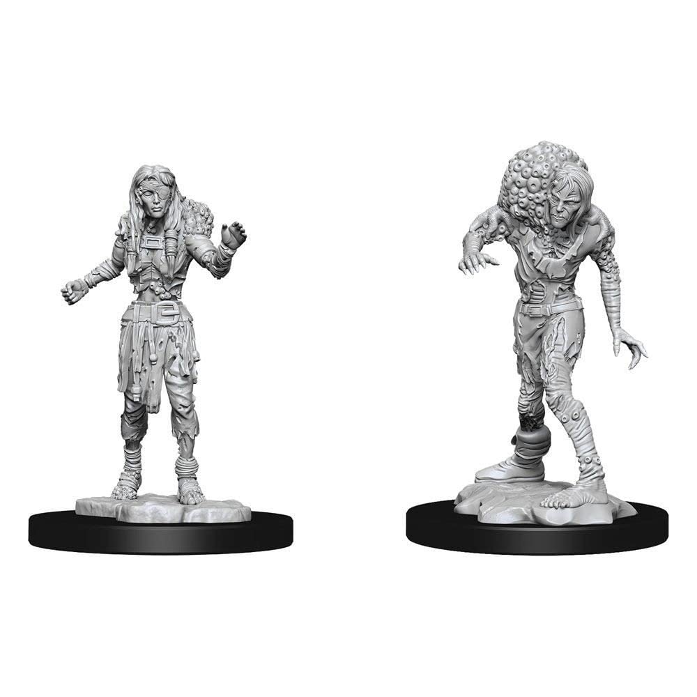 WizKids Nolzur's Marvelous Mini Drowned Assassin & Drowned Asetic Set