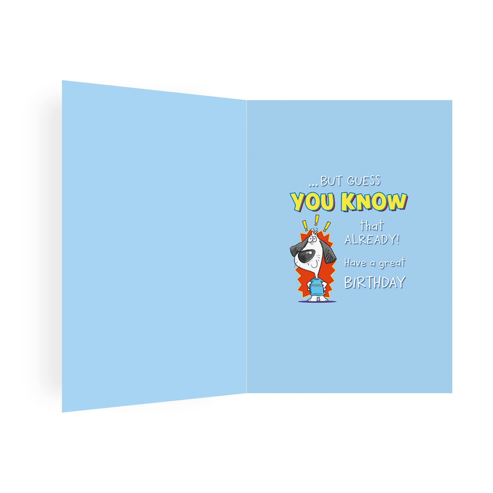 Piccadilly Greetings Humour Birthday Card for Grandson | 9 x 6 Inches | Made in the UK
