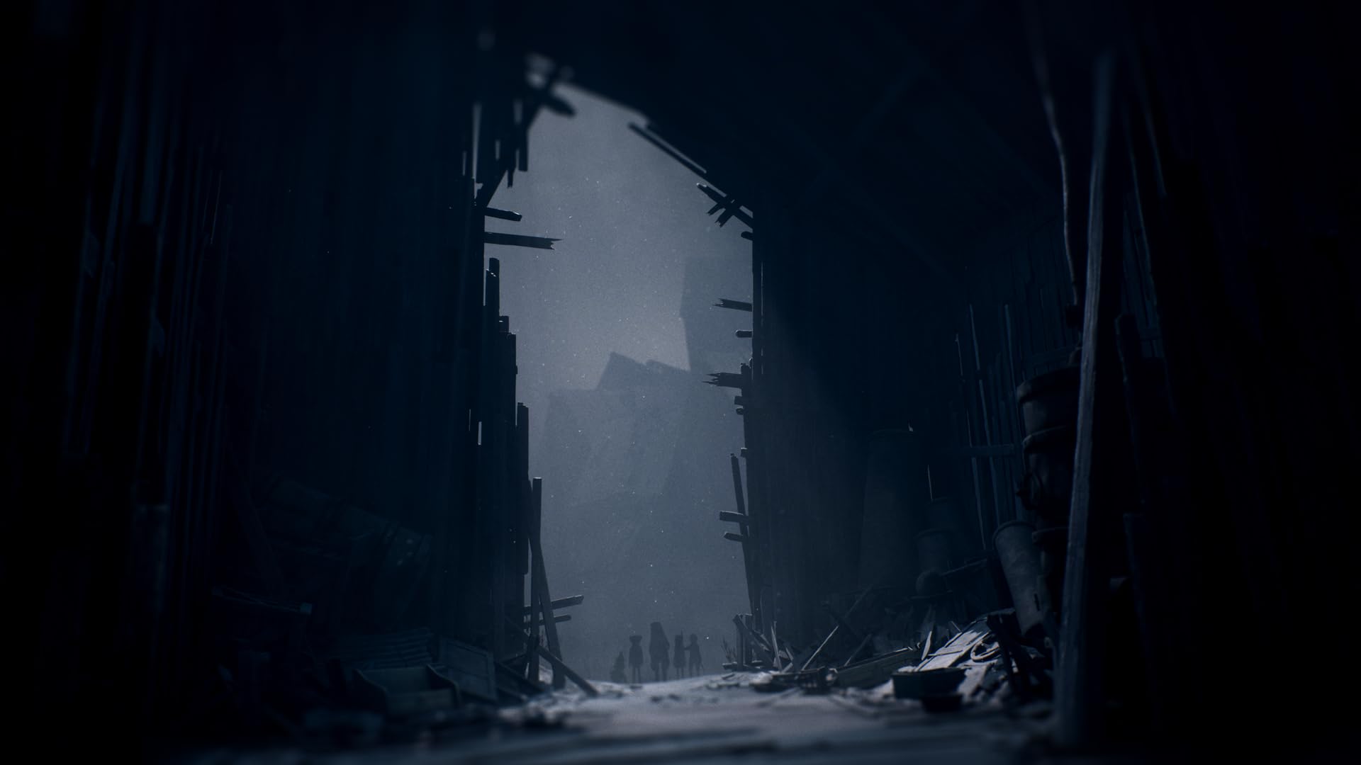 REANIMAL - PlayStation 5 3