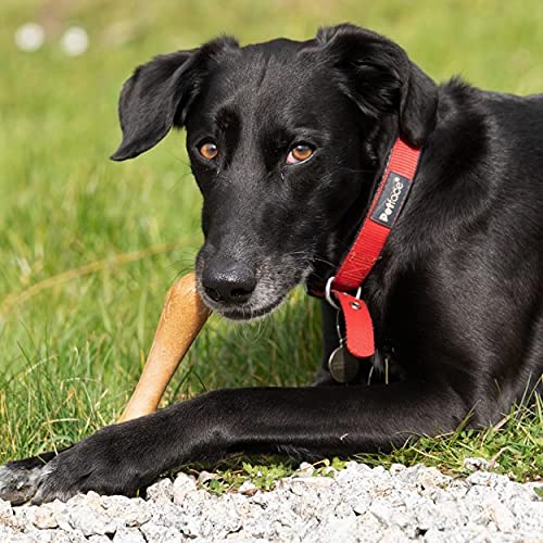 Petface Planet Wood Chew Eco Friendly Dog Bone Toy - Durable for Large Breeds | Unscented 5