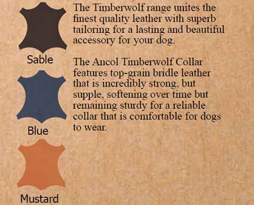 Ancol Timberwolf Leather Collar Sable Size 5 - 39-48 cm Neck | 2.2 cm Width 5