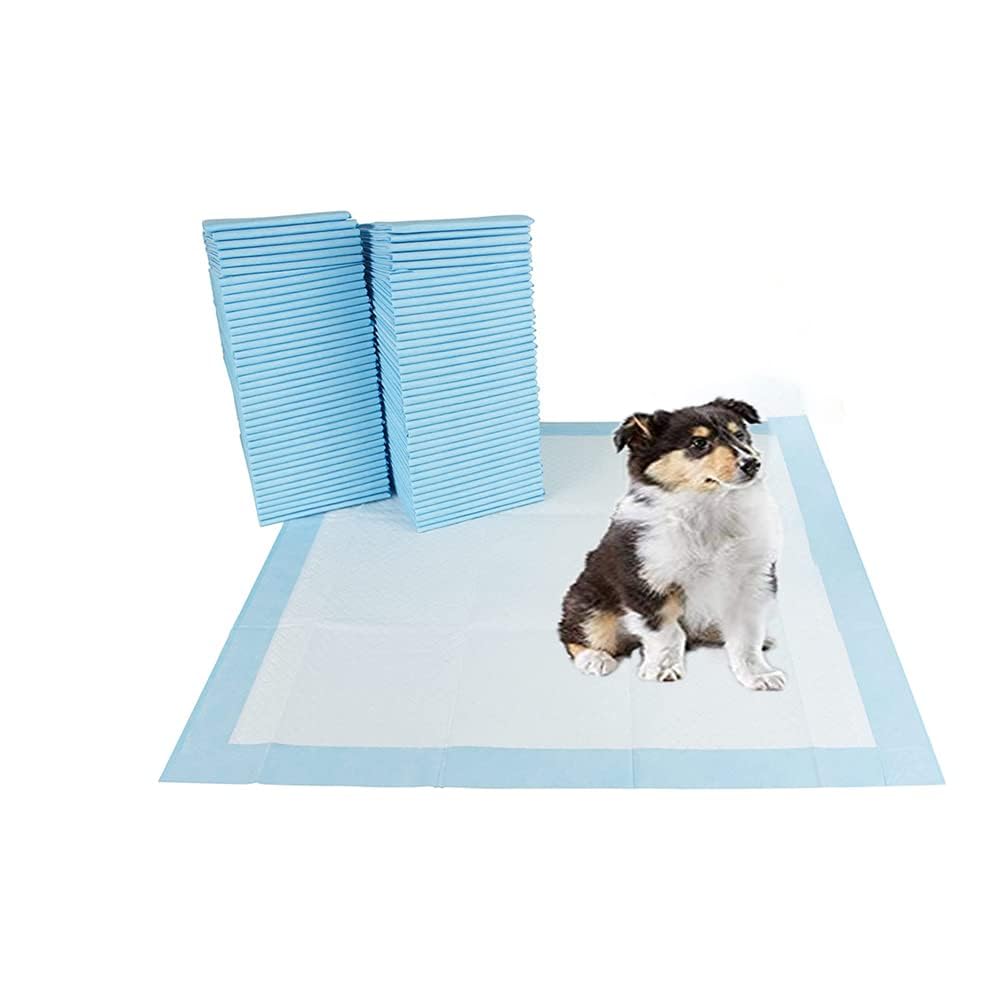 BARGAIN FACTORY Pet Potty Training Pads - 50 Pack | Super Absorbent | 56x56cm Size