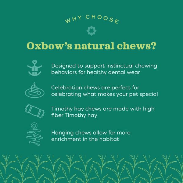 Oxbow Enriched Life Twisty Rings Sisal Chew Toy for Small Animals | Unscented, Lightweight 3