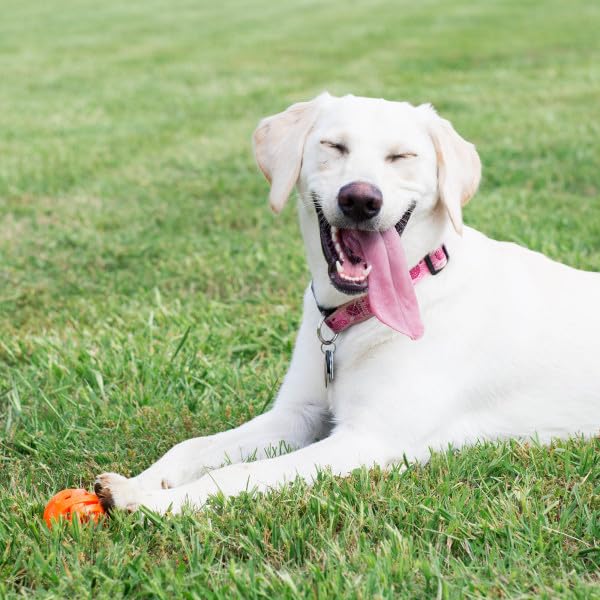 Chuckit! Air Fetch Dog Ball - Lightweight Rubber Toy | XL Size (9.1cm) | Launcher Compatible