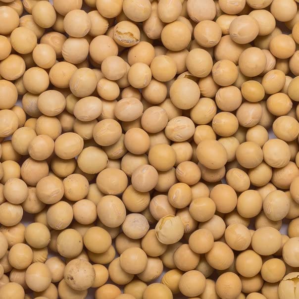 Wholefood Earth Soya Beans - High Fibre, Natural, GMO Free | 500g 4