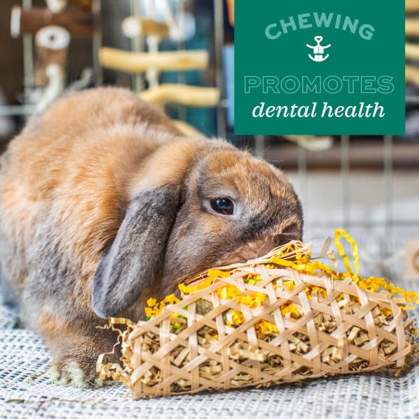 Oxbow Enriched Life Twisty Rings Sisal Chew Toy for Small Animals | Unscented, Lightweight 6
