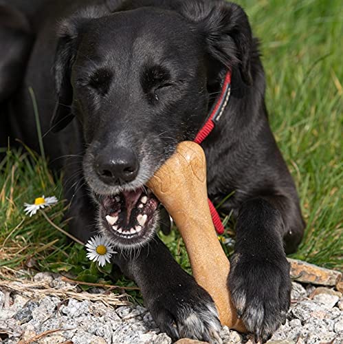 Petface Planet Wood Chew Eco Friendly Dog Bone Toy - Durable for Large Breeds | Unscented 6