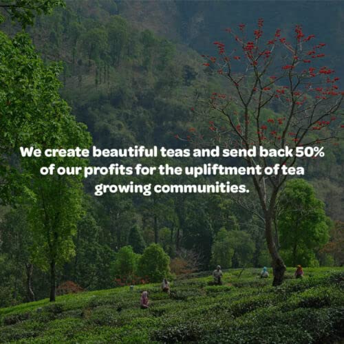 Tea People Organic English Breakfast, Loose Leaf Black Tea in Tin Caddy 2