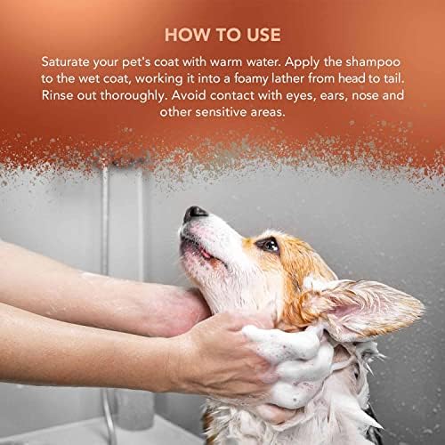 Wahl Dirty Beastie Shampoo - Twin Pack (2 x 250ml) | Cleansing & Deodorizing | Kiwi Scent 5