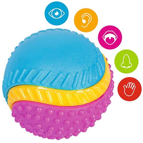Sharples Five Senses Rubber Dog Ball - Beef Scented | Medium Size | Multicoloured