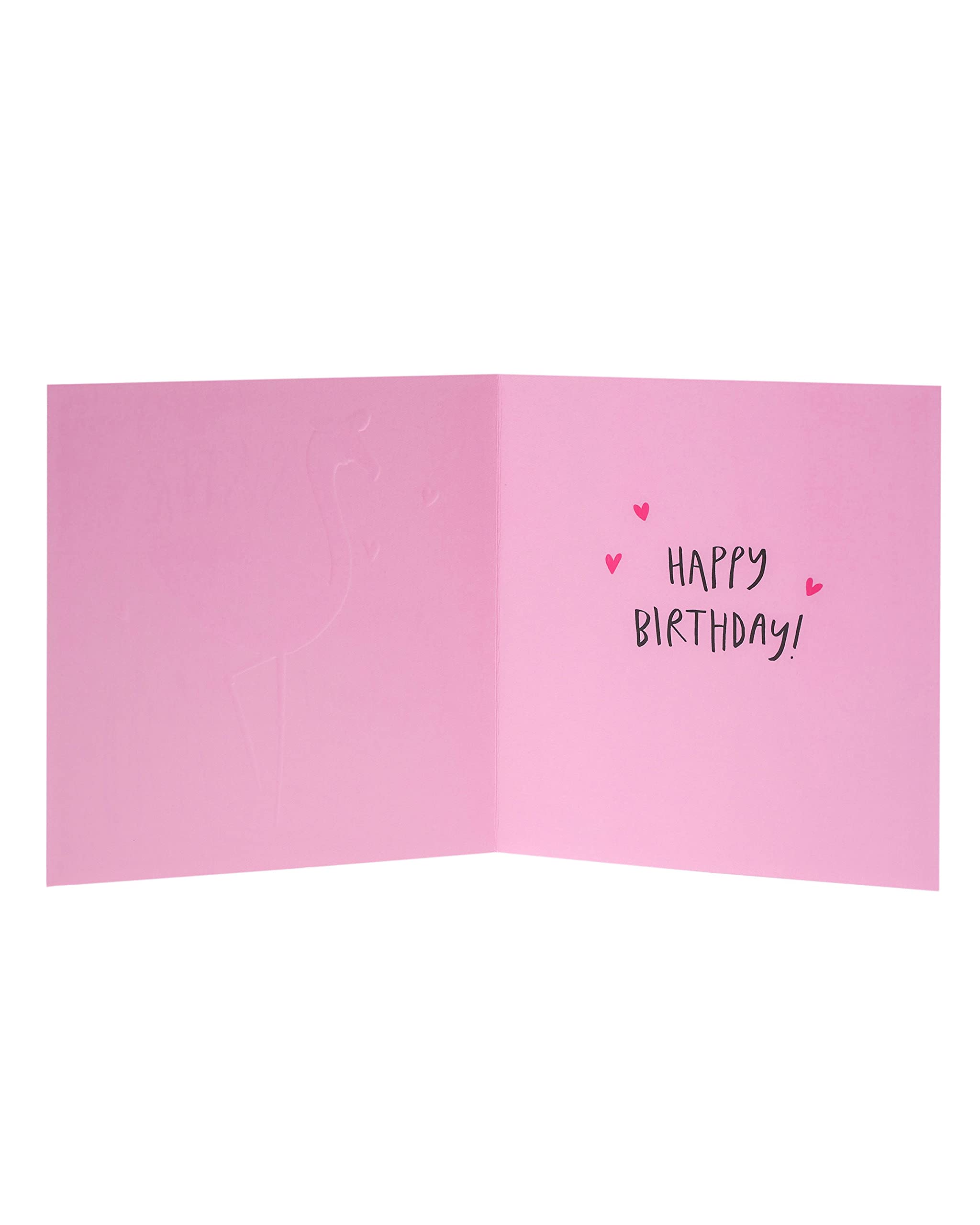 Kindred Stay Fabulous Flamingo Birthday Card for Sister | 165x165mm FSC Certified 3