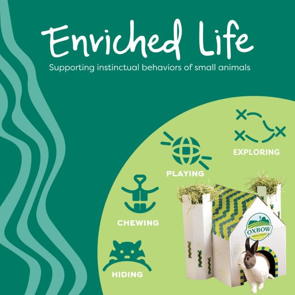 Oxbow Enriched Life Play Wall Small for Small Animals | Supports Chewing & Exploration 5