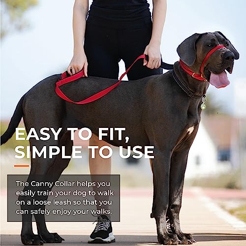 Canny - Canny Collar Head Collar for Dog Training and Walking - Black (Size 4, Model 02-1005) 6