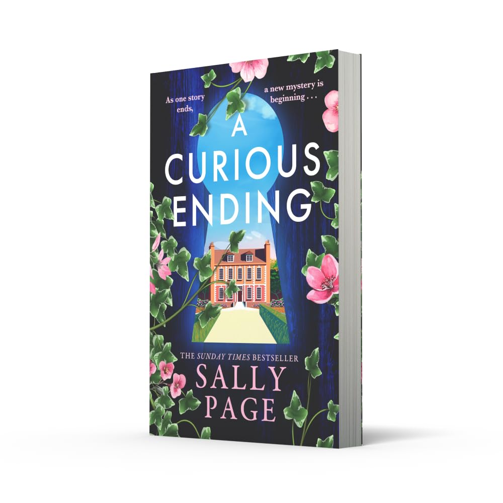 A Curious Ending by Sally Page - Paperback | 416 Pages | English