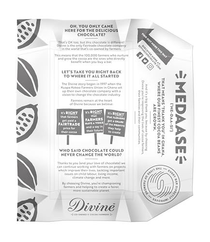 Divine - 70% Dark Chocolate with Raspberries Bar (90 g)