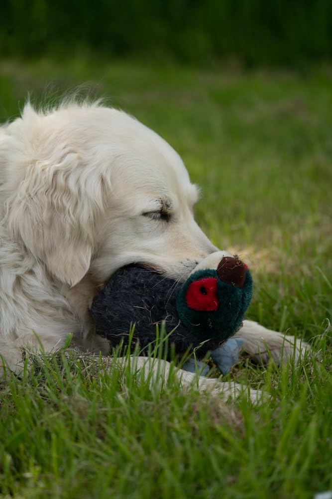 Petface Squeaky Pheasant Plush Dog Toy - Durable Play, Built-in Squeaker, Unscented 6