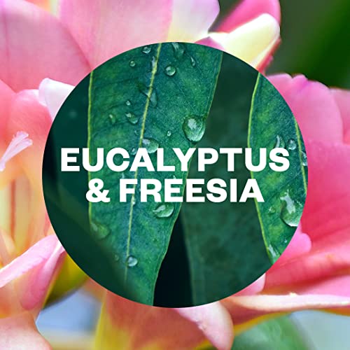 Air Wick - Eucalyptus Odour Neutralising Air Spray | Pack of 4