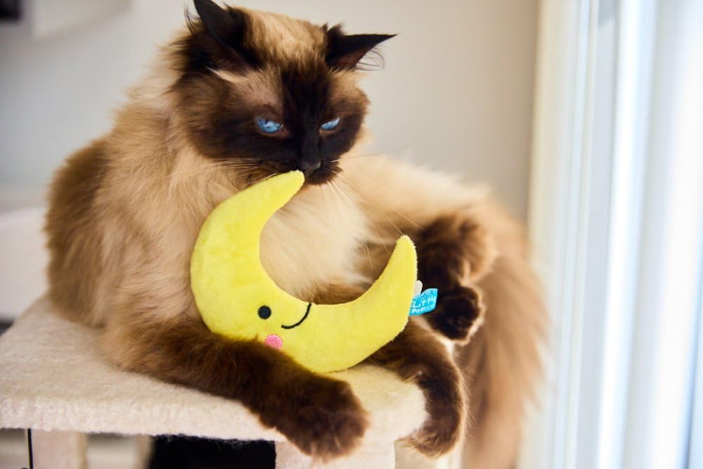 Petface Little Pet Moon Plush Cat Toy - Catnip Infused | Lightweight | Polyester 5