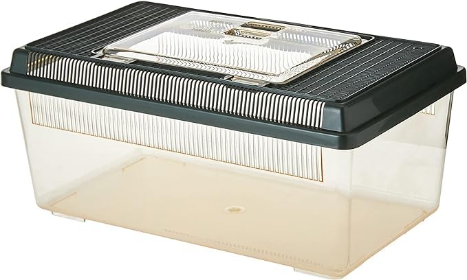 Exo Terra PT2300 Flat Faunarium - Medium Plastic Terrarium for Reptiles & Amphibians 2
