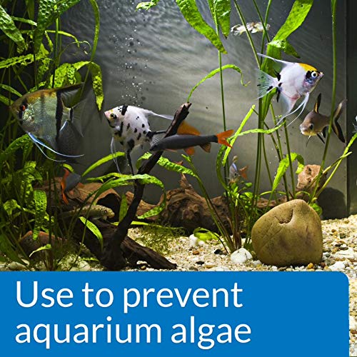 API Prevent Algae Solution - Prevents Algae & Green Water | 118 ml Liquid 8