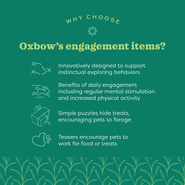 Oxbow Enriched Life Play Wall Small for Small Animals | Supports Chewing & Exploration 3